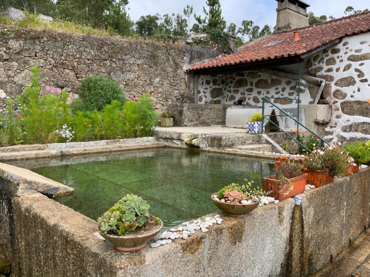 Quinta Do Bravio Villa Barroselas ภายนอก รูปภาพ