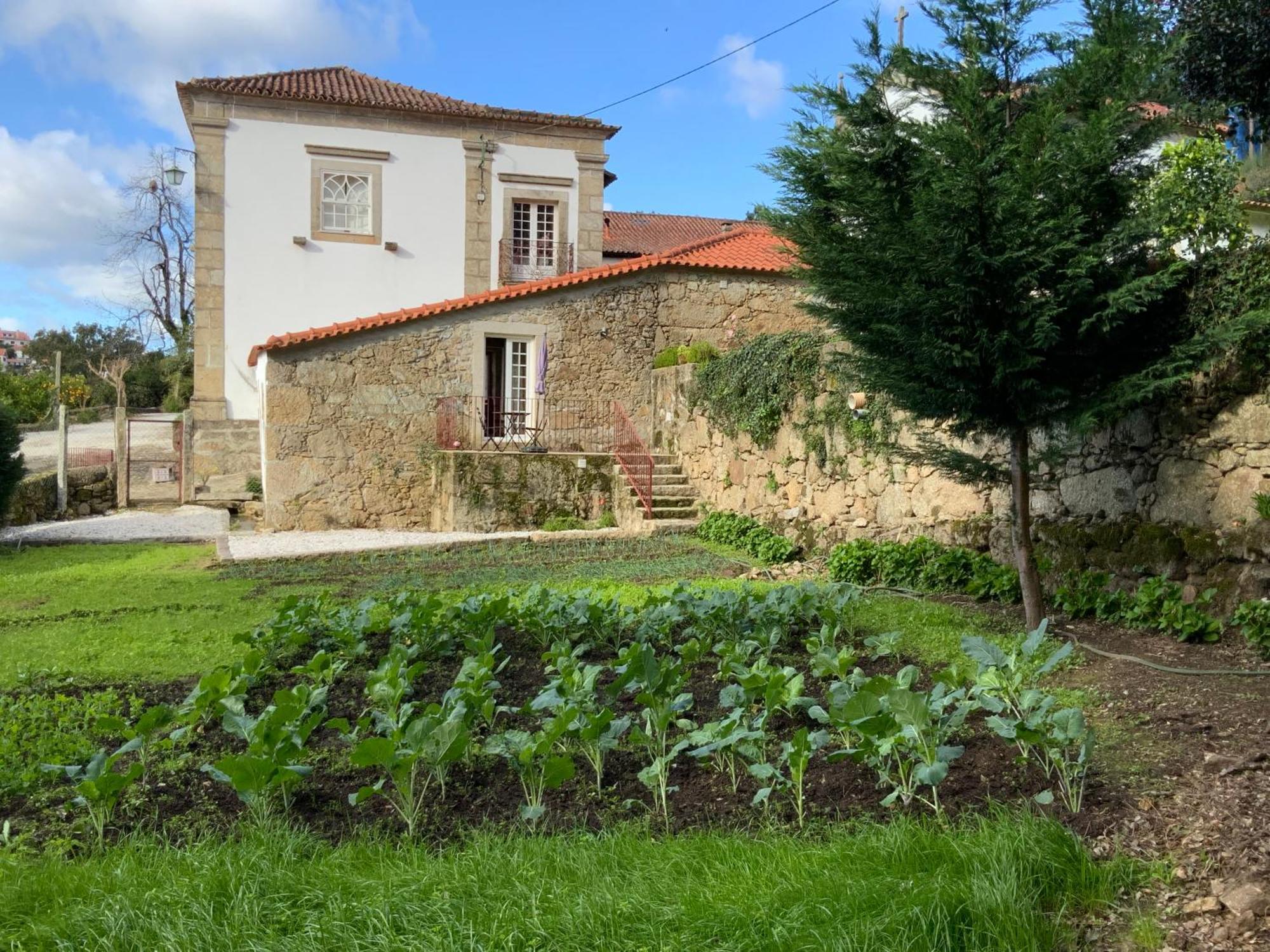 Quinta Do Bravio Villa Barroselas ภายนอก รูปภาพ