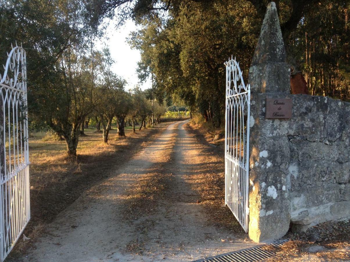 Quinta Do Bravio Villa Barroselas ภายนอก รูปภาพ
